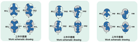 LQ系列衛(wèi)生級凸輪轉(zhuǎn)子泵結(jié)構(gòu)圖