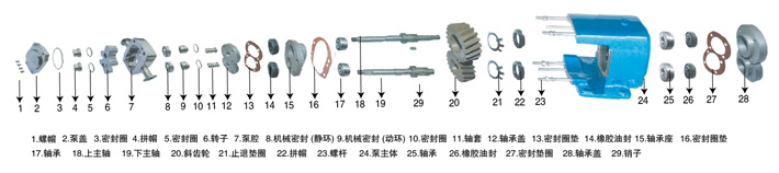 LQ系列衛(wèi)生級凸輪轉(zhuǎn)子泵轉(zhuǎn)子的形式