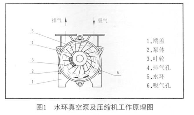 圖1 水環(huán)真空泵及壓縮機工作原理圖